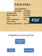 Efusi Fleura-kelompok 3 Edit