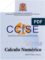 CALCULO_NUMERICO.pdf