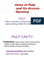 Access Cavity Preparation