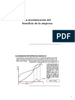MaximizacionBeneficio.pdf