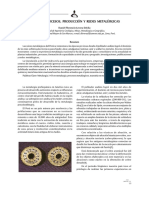 Historia Procesos Produccion y Redes Metalurgicas PDF