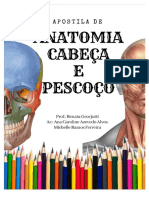 PDF Apostila Anato