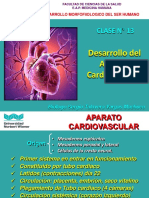 Clase N 13 Aparato Cardiovascular