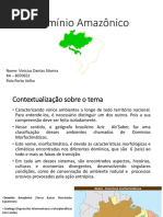 Climatologia, Geografia Do Brasil, Agrária e Meio Ambiente - Portfólio 3º Ciclo