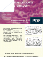 Hist 02 - Formas Celulares y Epitelios 2019-1