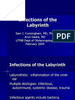 Labyrinth It Is Slides 040225 (1)