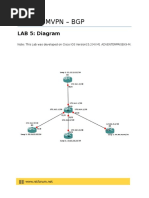 Lab 5: DMVPN - BGP