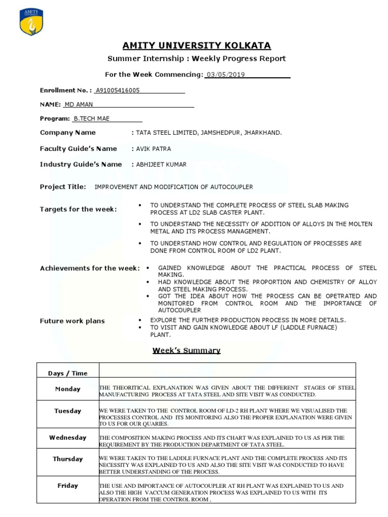 A Weekly Progress Report Pdf Steel Industrial Processes