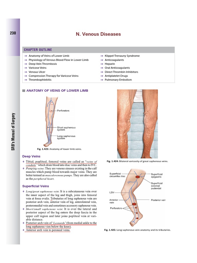 "Betsi Cadwaladr Launches "Leg Matters Week" to Tackle Lower Limb Venous Conditions"