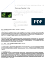 JC-1 Dye For Mitochondrial Membrane Potential - Thermo Fisher Scientific