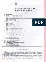 21 PDF