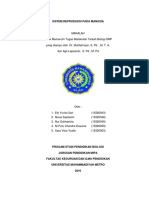 SISTEM_REPRODUKSI_PADA_MANUSIA.docx