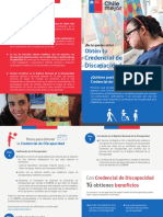 DIPTICO Credencial Discapacidad PDF