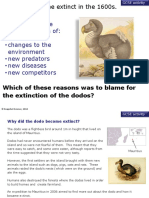 Extinction of The Dodos
