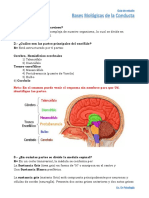 Cuestionario Bases Biológicas