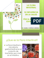 Flora Intestinal Iglesia España