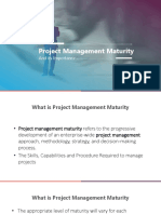 PM3 model of project management maturity