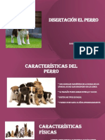 Disertación El Perro