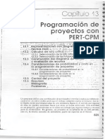 Pert Cap 13 PDF