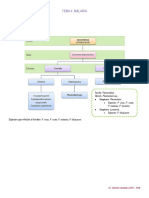 Resumen Malaria PDF