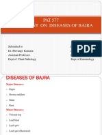 PAT 577 Assignment On Diseases of Bajra