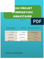 Rapport de Projet Irrigation Groupe 34