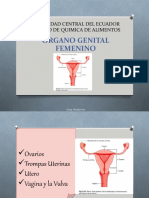 Anatomía Aparato Reproductor Femenino