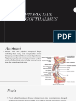 k2 Ptosis, Lagoftalmus