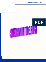 Comportamiento Del Fuego PDF