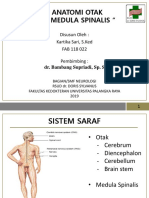 " Anatomi Otak Dan Medula Spinalis ": Disusun Oleh: Kartika Sari, S.Ked FAB 118 022 Pembimbing