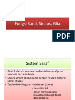 Fungsi Saraf, Sinaps, Glia