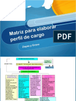 Matriz de Perfil de Cargo