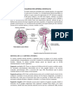 VASCULARIZACION ARTERIAL ENCEFALICA.pdf