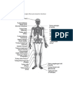 Sistem Muskuluskeletal