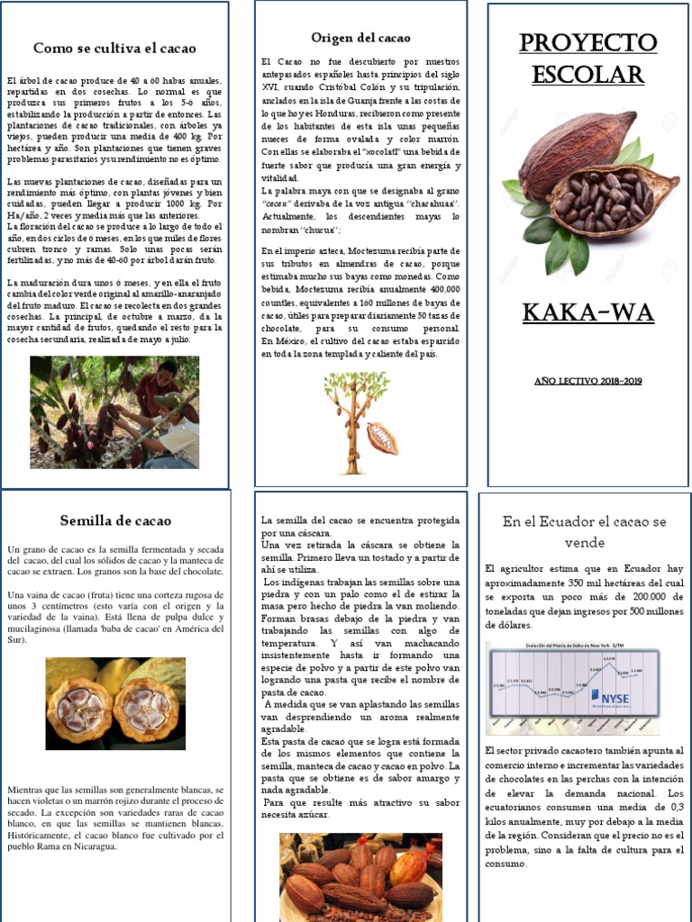 Tríptico Cacao | PDF | Sólidos de cacao | Chocolate