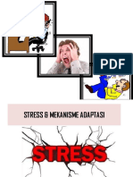 Stress Adaptasi PDF