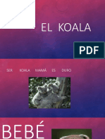 El  koala.pptx