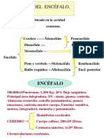 Tema_10._Funciones_Superiores_del_Encefalo_OCW.pdf