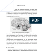 Tugas Endokrin - Melatonin