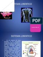 Sistema linfático: transporte y función del sistema inmune