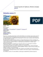 Sistema Nacional Argentino de Vigilancia y Monitoreo de Plagas - Helianthus Annuus - 2018-06-26