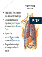 Thorax: (Pair of Lungs (Heart)