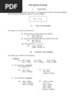 The Plural of Nouns: N+ - S / - Es