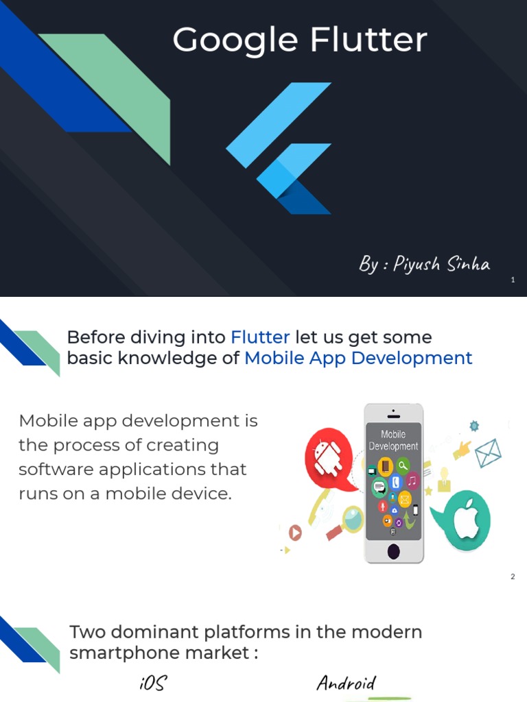 Google Flutter | PDF