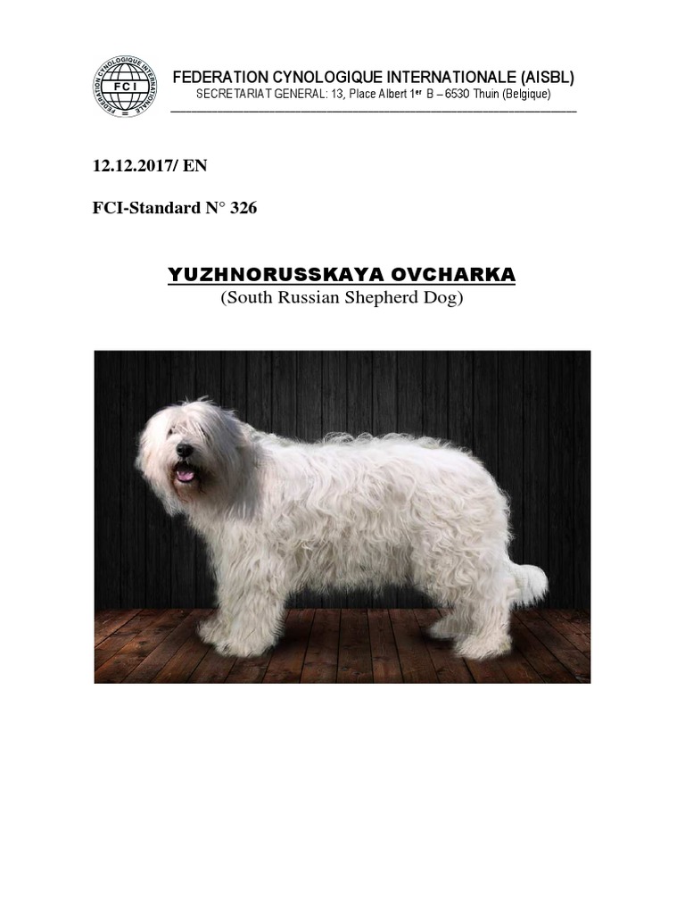 Fci Standard Herding Dogs Human Nose