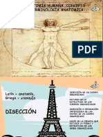 Tema 12-Anatomía Humana - Concepto, Planos, Ejes y Terminología