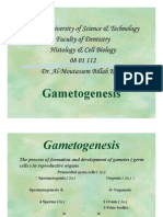 5._Gametogenesis