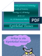 7. Epithelial Tissues
