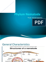 Phylum Nematoda
