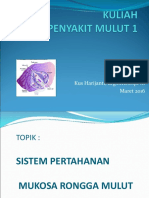 02A - Sistem Pertahanan Rongga Mulut 1